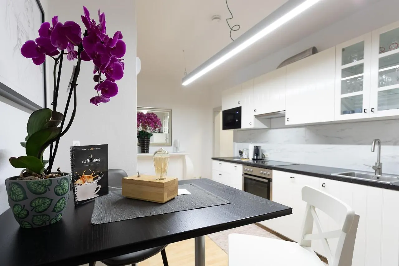 Central And Chic - The Big One Apartment Vienna 0*,